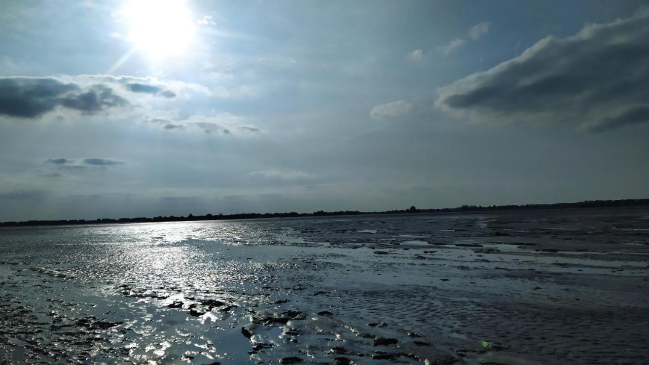 Jolie Maison Proche Mont St Michel Et Saint Malo Le Vivier-sur-Mer Exteriör bild
